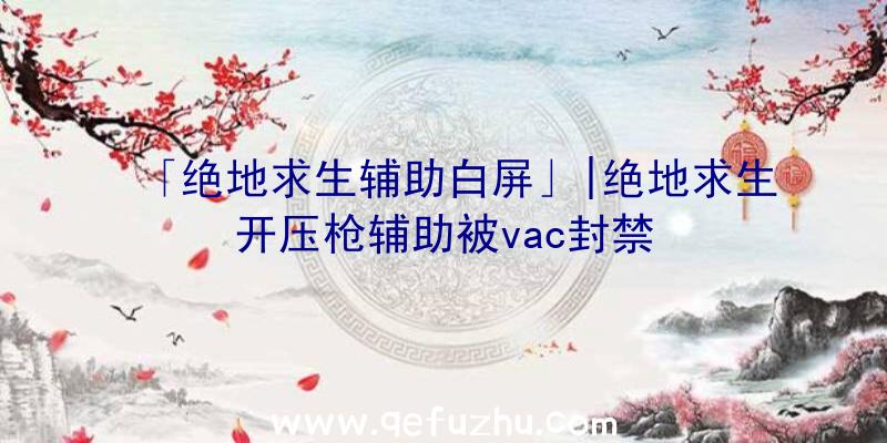 「绝地求生辅助白屏」|绝地求生开压枪辅助被vac封禁